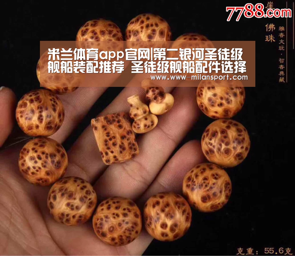 米兰体育app官网|第二银河圣徒级舰船装配推荐 圣徒级舰船配件选择(图2) 米兰体育在线